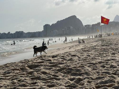 Copacabana Hostel | 3 min da Praia de Copacabana - Apartamento compartilhado AV