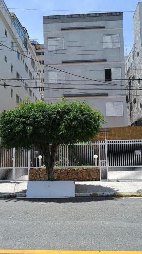 Enseada Apartment | 400 mt da Praia da Enseada Wi-fi Estacionamento gratuito cozinha completa
