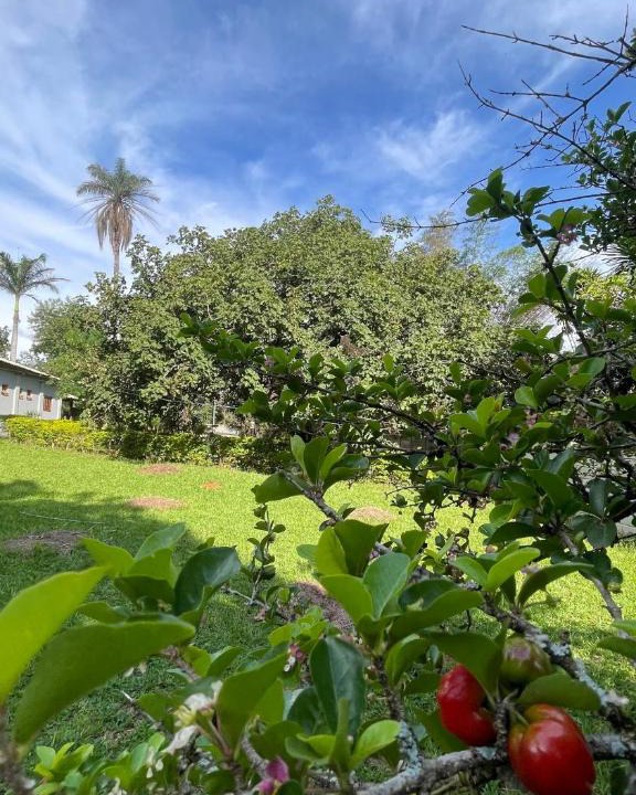 Lagoa Santa Cabin | A Casa da lua