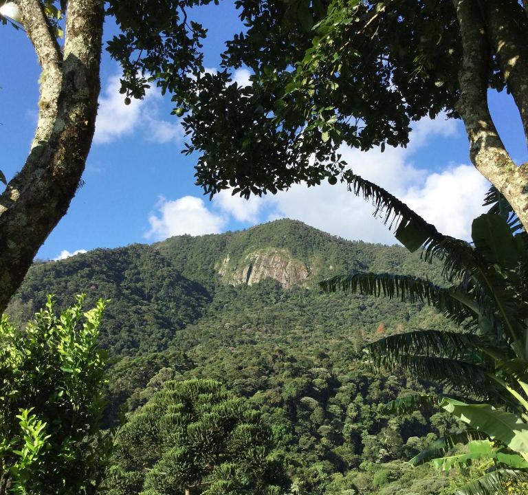 Santo Antonio do Pinhal House | Abrigo da Reserva