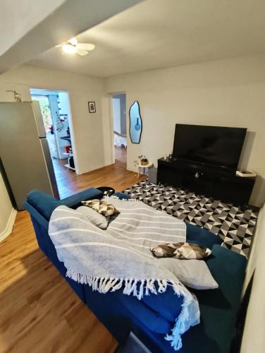 Andarai Apartment | Aconchego com quintal