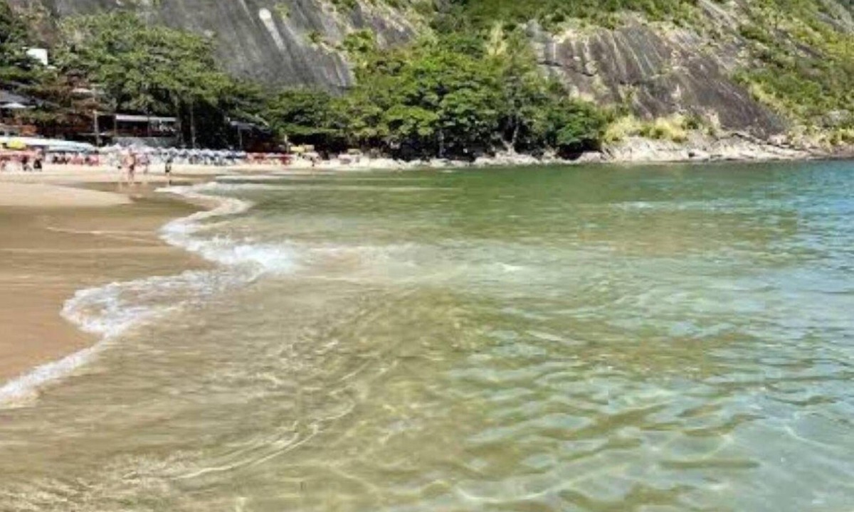 Santo Antonio House | Andorinhas