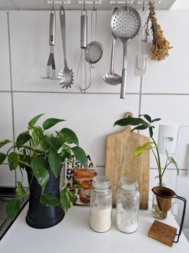 Vargem do Bom Jesus Apartment | Apartamento inteiro
