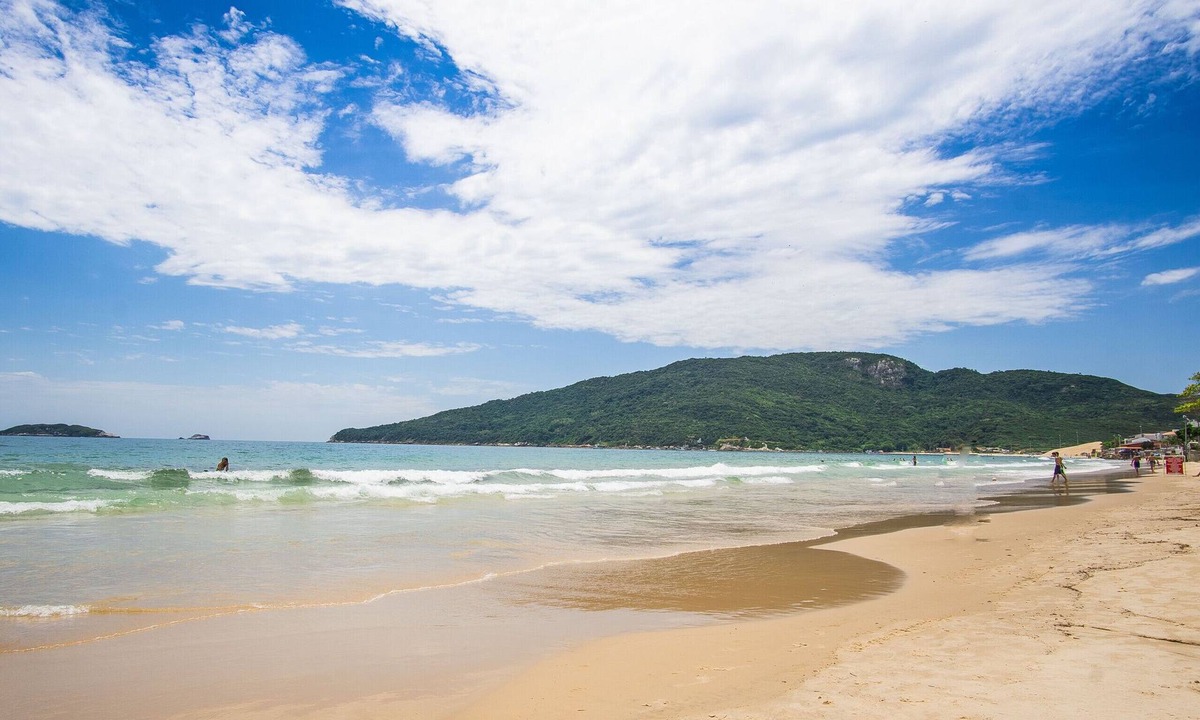 Ingleses Sul Apartment | Apartamento Requintado 100m da Praia ING4306