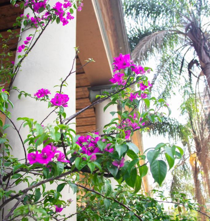 Asuncion Hotel | Asuncion Palace