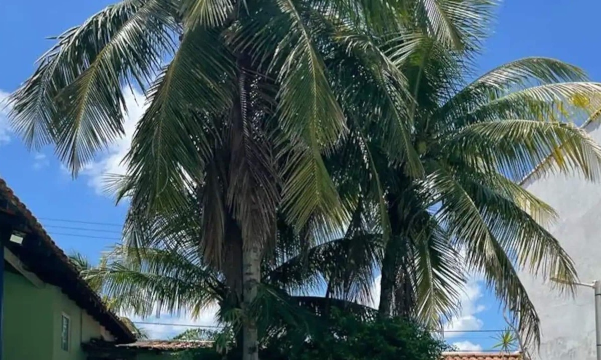 Saquarema Bed & Breakfast | Beach bed and breakfast