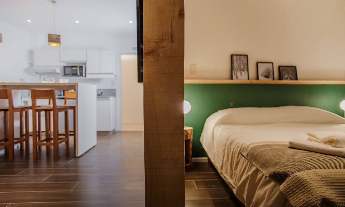 Province of Tierra del Fuego Apartment | Bright studio with moutains view. SPA Included! - TUREK RESIDENCES