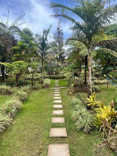 Quebrada La Gamba House | Cabaña las Bromelia