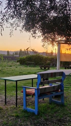 Rama Caida Apartment | Cabaña Oliva - Privacidad frente a los viñedos