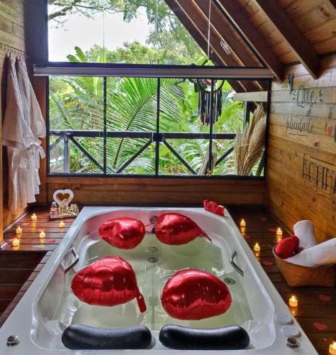 Imarui Ski Chalet | Cabana com Cachoeira Privativa