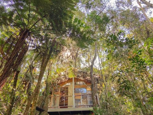 Ouro Preto Ski Chalet | Cabana Floresta Amada