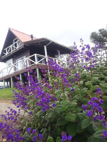 Alfredo Wagner Ski Chalet | Cabana Sítio Costãozinho
