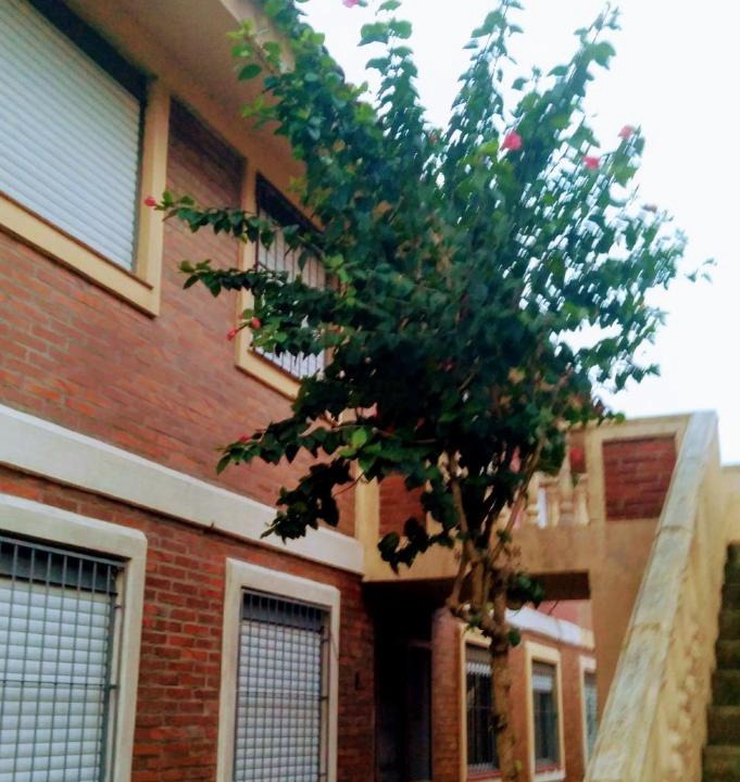 Simoes Lopes Apartment | Cafofo da Rosane
