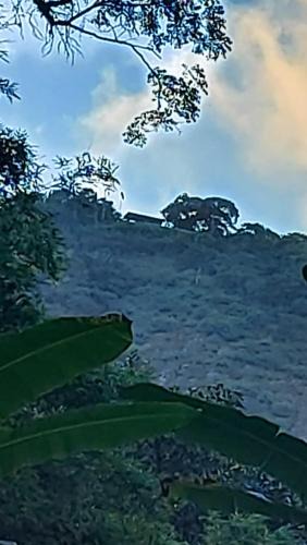 Sao Conrado Other | Camping São Conrado com cachoeira exclusiva, perto da praia e da Pedra Bonita