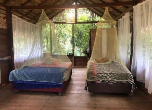 Alter do Chao House | Campo de Heliantos
