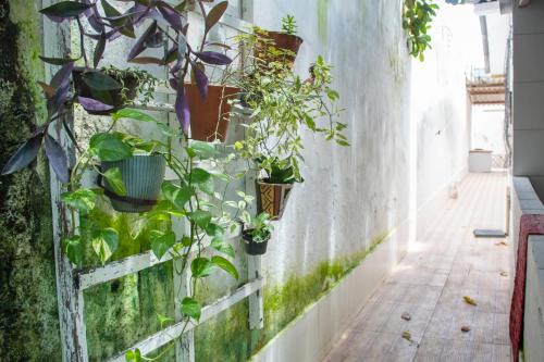 Varzea House | Cantinho especial