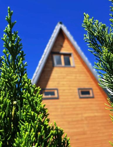 Cambara do Sul Cabin | Canyons Chalet