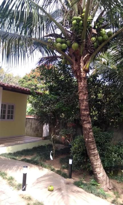 Vila Velha House | Casa Angra dos Reis