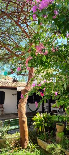 Bosque de Geriba Bed & Breakfast | Casa Baluarte Guest House Búzios