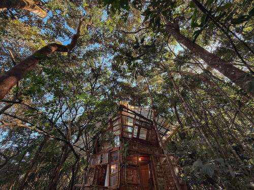 Ouro Preto Ski Chalet | Casa Bambu Floresta Amada