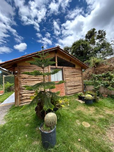 Caparao Velho House | Casa Bermond