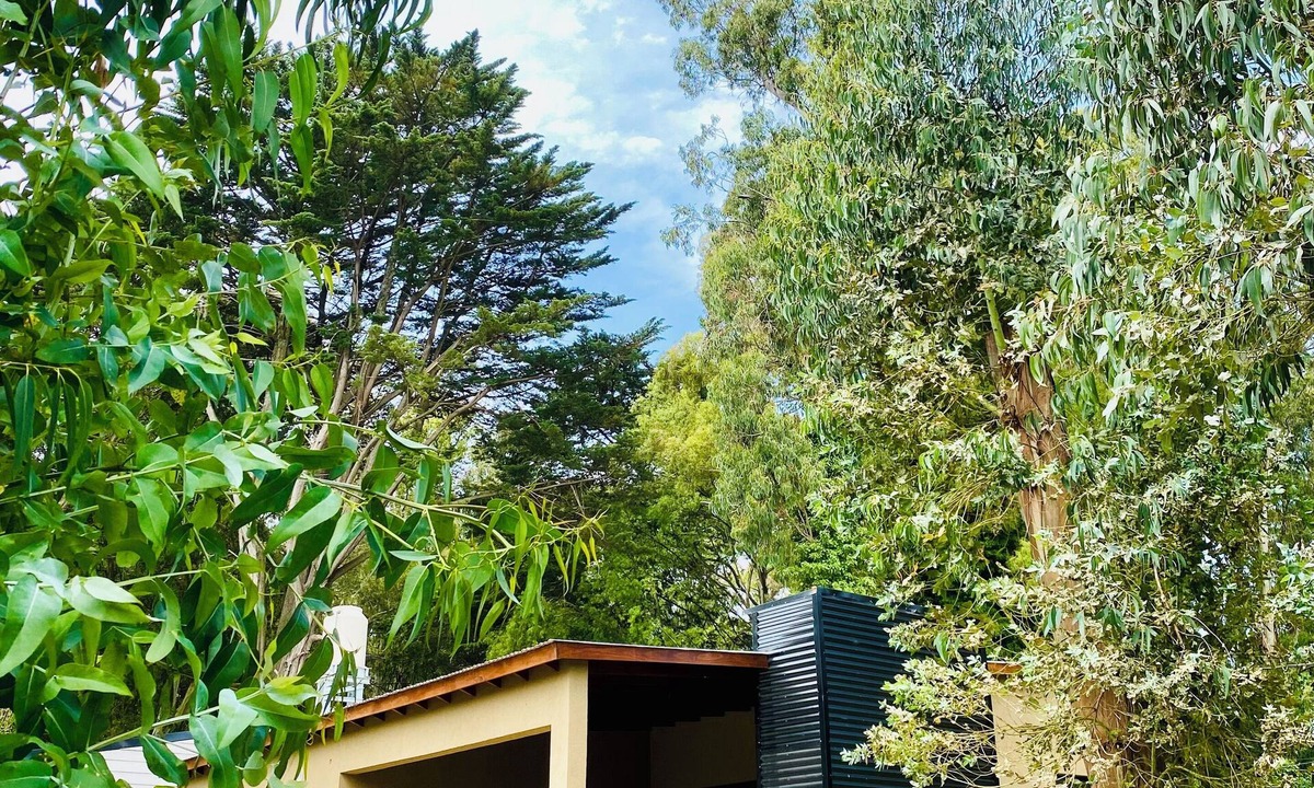 Bosque Peralta Ramos House | Casa Bosque al Mar. Peralta Ramos Forest Mar del Plata