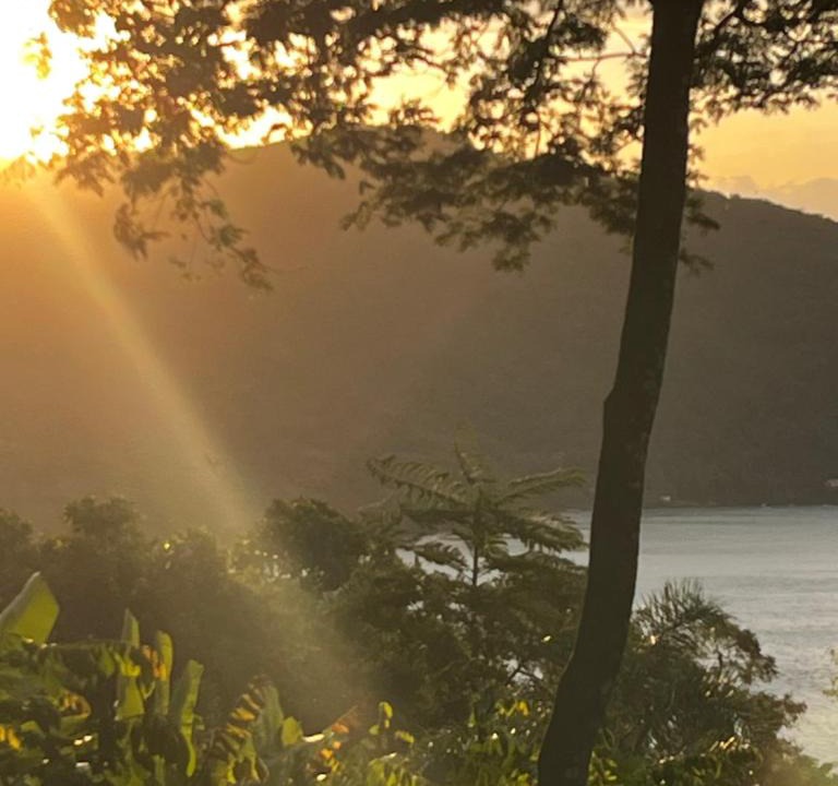 Ilha Grande Cabin | Casa Botanique Jungle Retreat