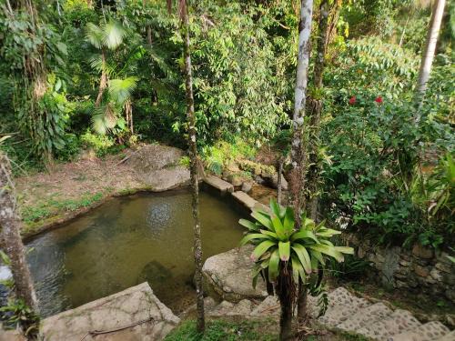 Mambucaba House | Casa com Cachoeira em São Gonçalo - Paraty
