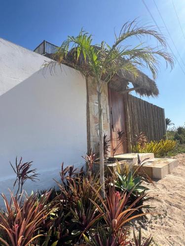 Corguinho House | Casa Costa