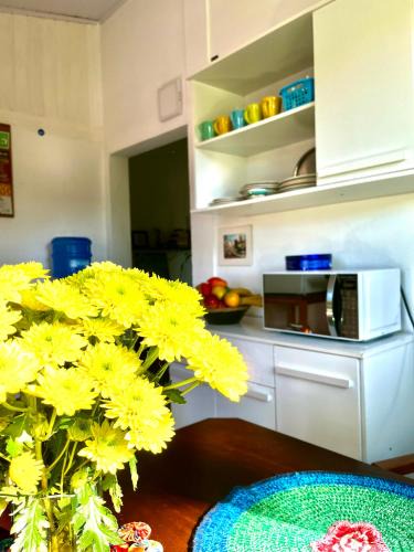 Downtown Ubatuba House | Casa da árvore