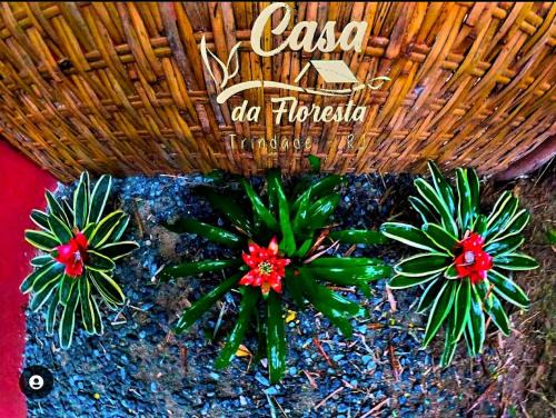 Trindade House | Casa da Floresta