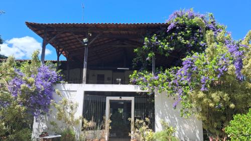 Marica House | Casa Darwin