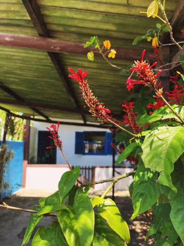Manguinhos House | Casa Inaê