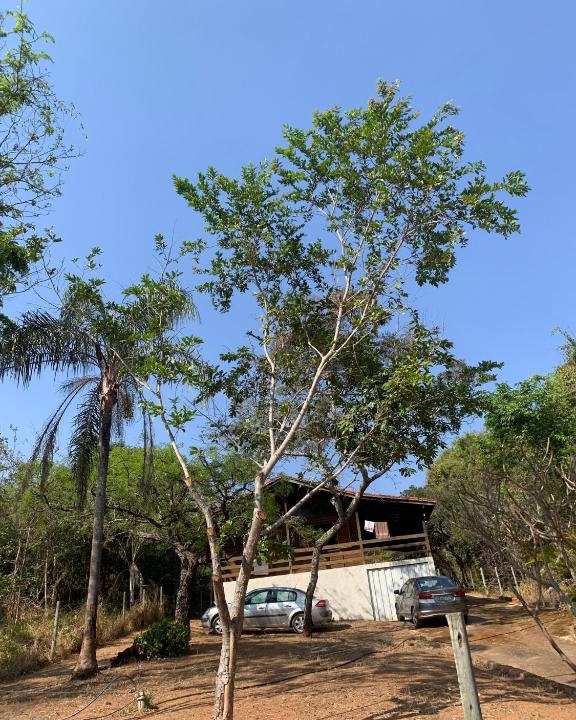 Guape House | Casa Madeira em Santo hilario