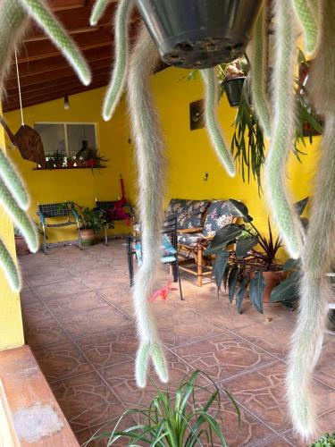 Sorocaba House | Casa prato de cerejas