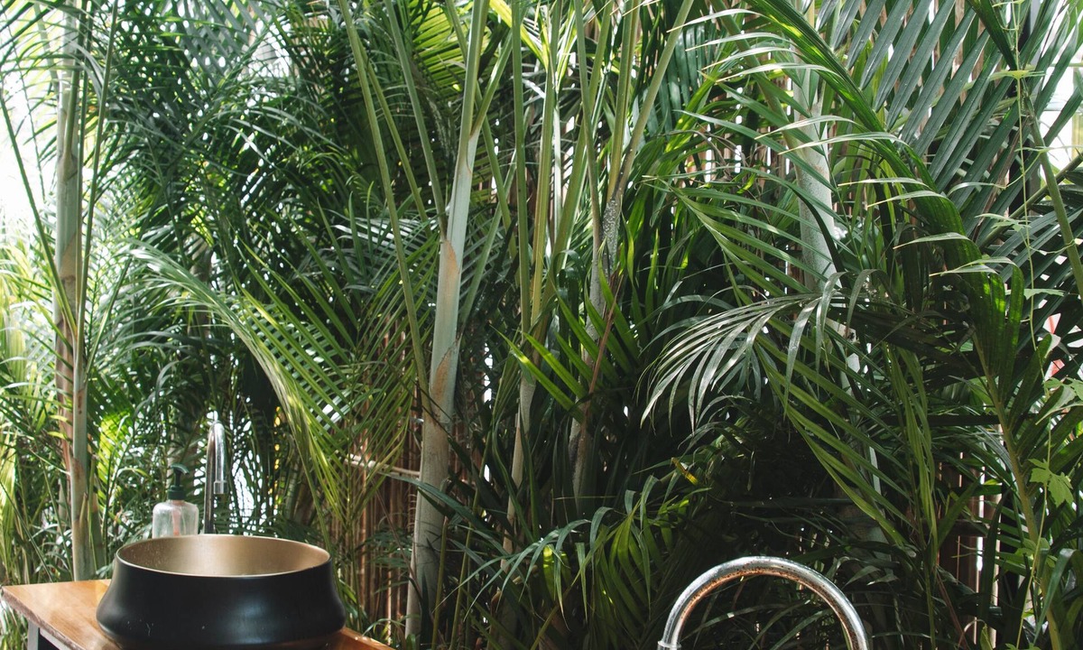 Puerto Viejo de Talamanca Hostel | Casa Wolaba