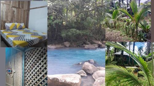 Katira House | cataleya spring cabins