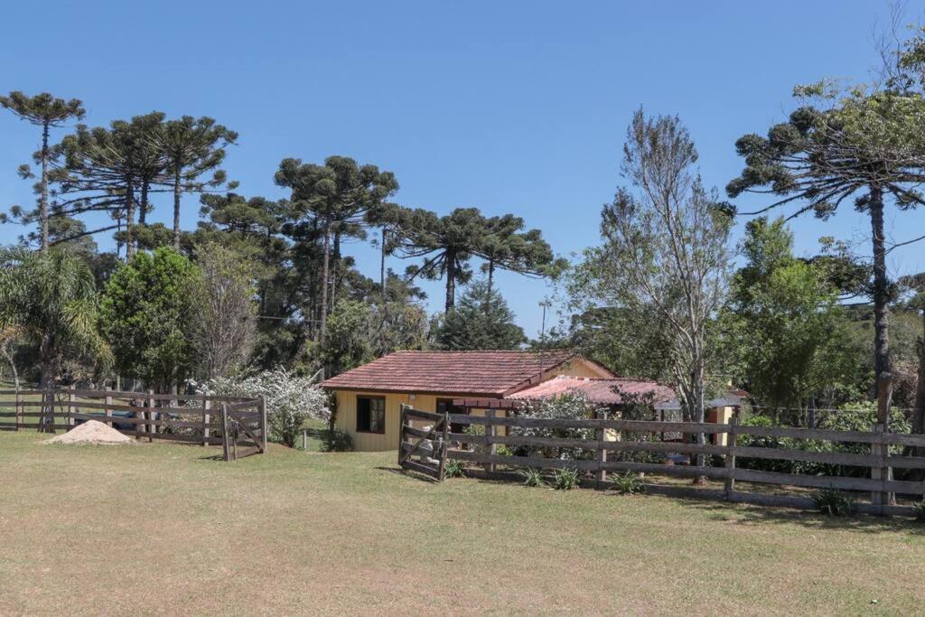 Sao Jose dos Pinhais House | Chácara do Sapé