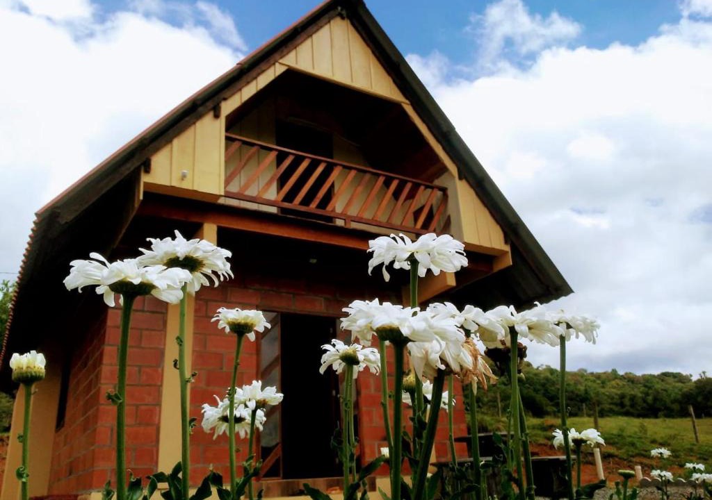 Doutor Pedrinho Ski Chalet | Chalé das Margaridas