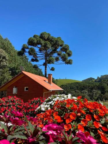 Monte Verde Cabin | Chalés Canto da Serra