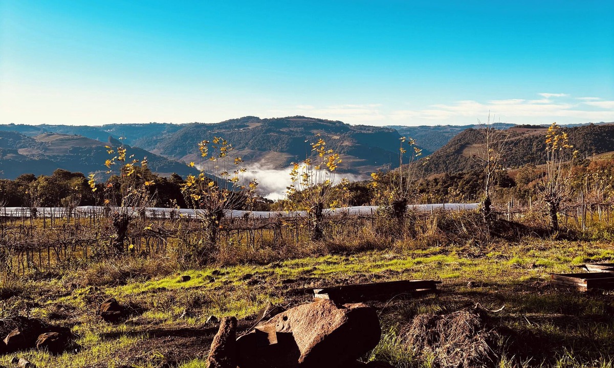 Monte Belo do Sul Cottage | Charming and sustainable cottage in fabulous Monte Belo do Sul, RS.