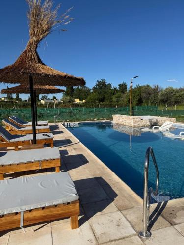 Rama Caida House | Complejo Las Condes