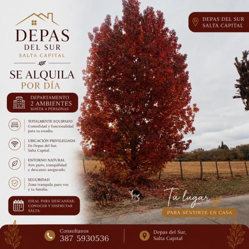 Salta Apartment | Depa del Sur