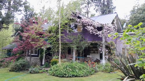 Angostura Bed & Breakfast | Dodo House Bed & Breakfast