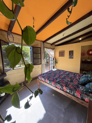 Tres Cruzes Hostel | Eco-Refúgio Cantareira