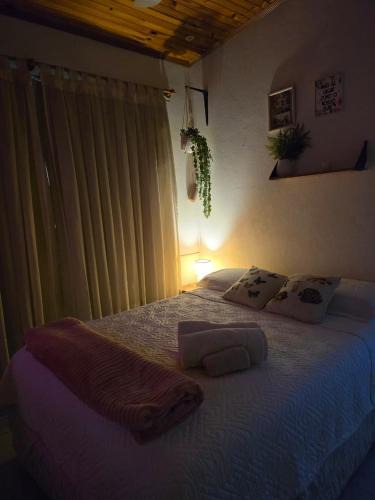 Asuncion House | Esquina Mburucuya