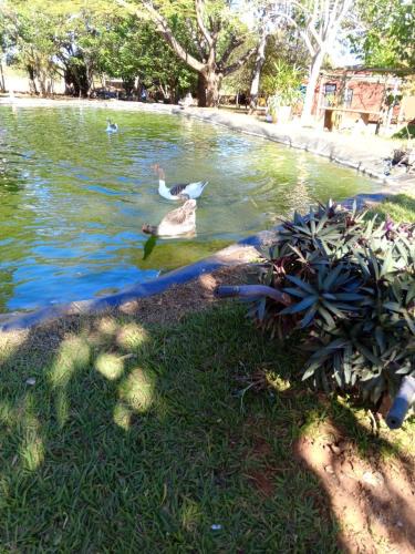 Uberlandia House | Estancia Rubi