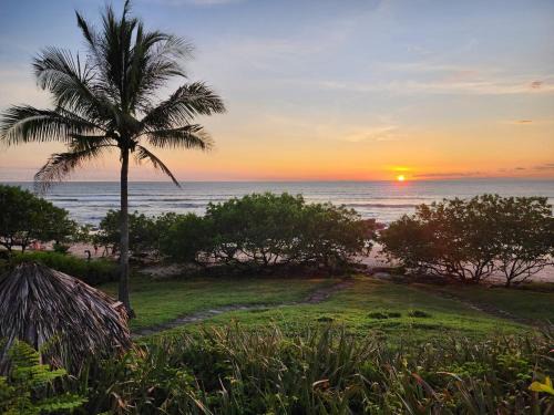 Playa Langosta House | Exclusive Beachfront Villa Private Pool, Koi, BBQ