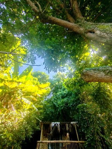 Mangaratiba House | Filhas da Terra Jaguanum