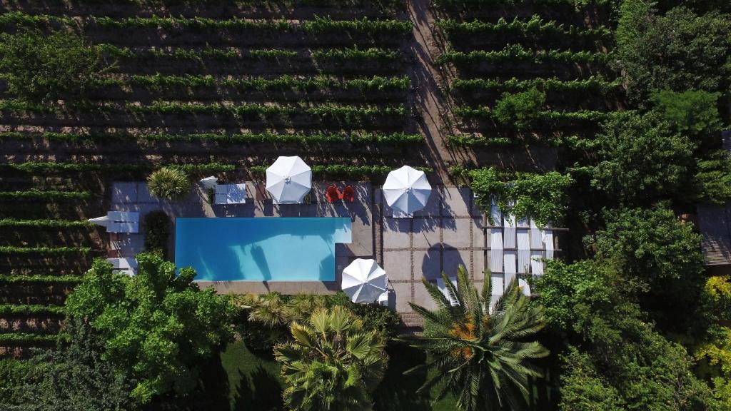 Chacras de Coria House | Finca Adalgisa Wine Hotel Mendoza